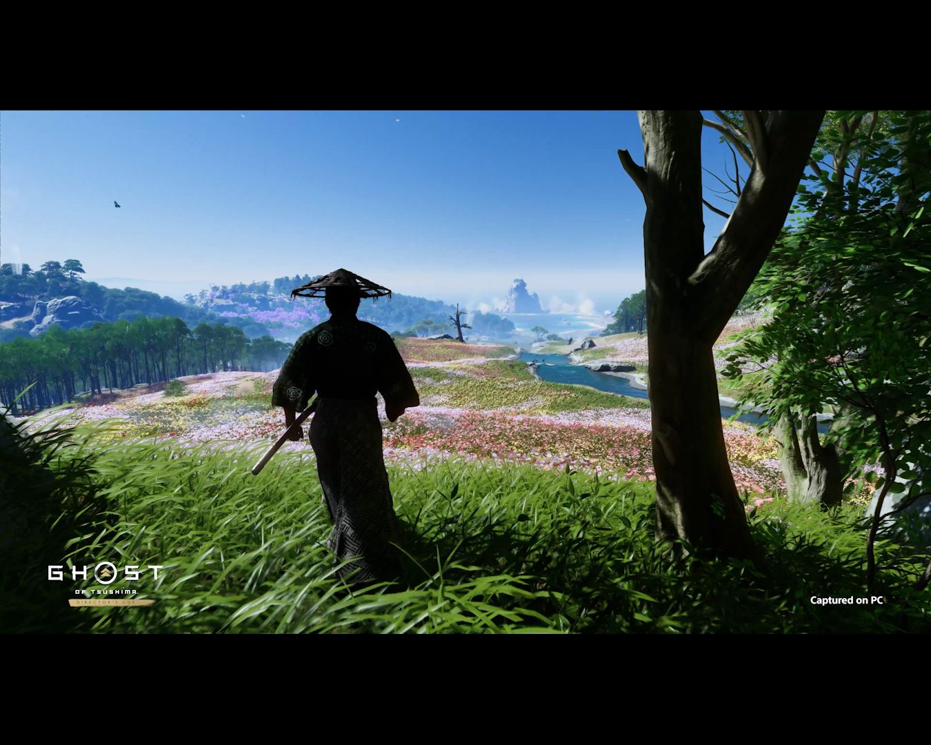 Дата выхода Ghost Of Tsushima на ПК и новые функции, представленные PlayStation