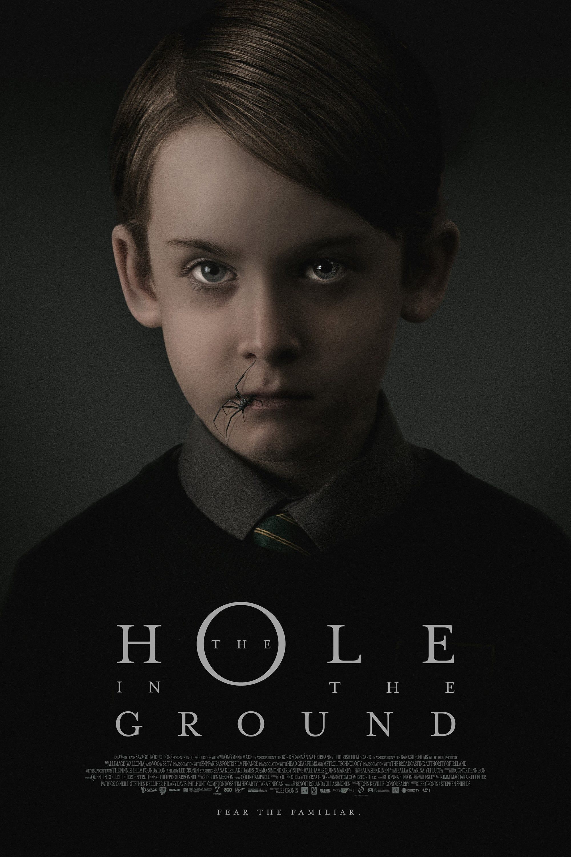 Hole in the Ground Movie Poster