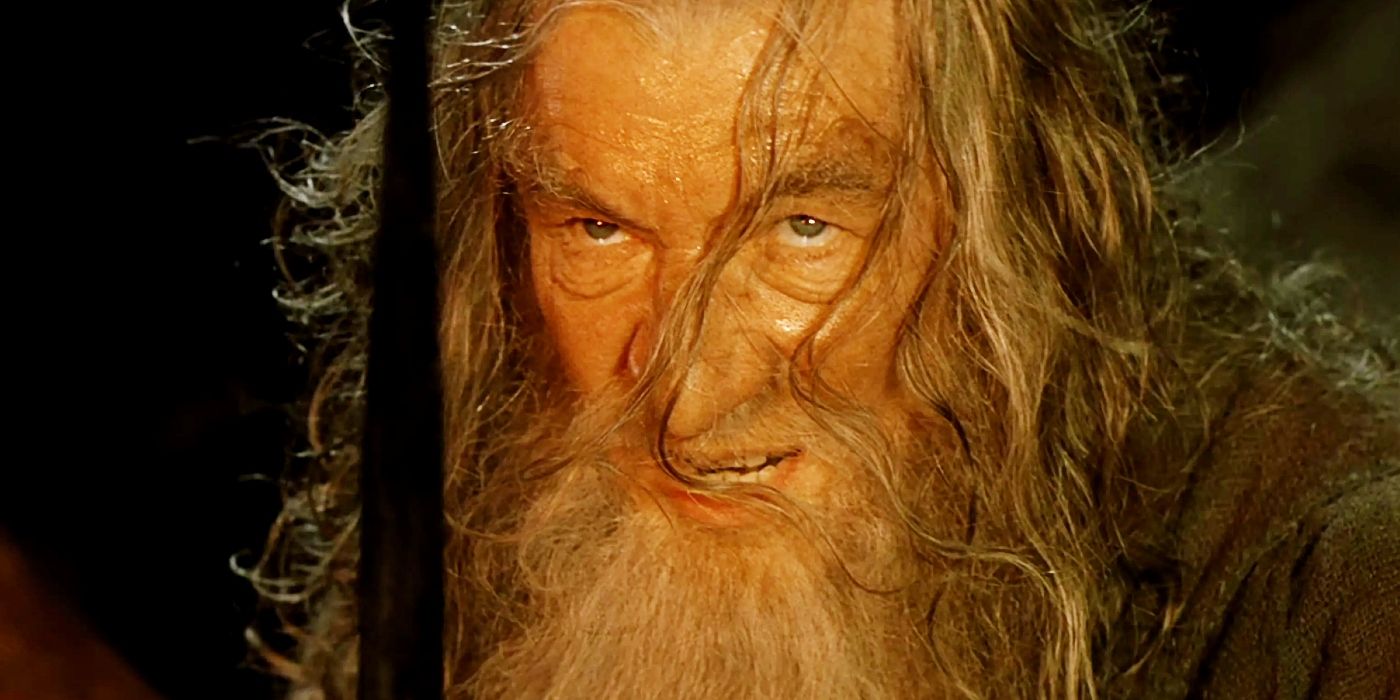 Ian McKellen looking determined as Gandalf in The Lord of the Rings The Fellowship of the Ring