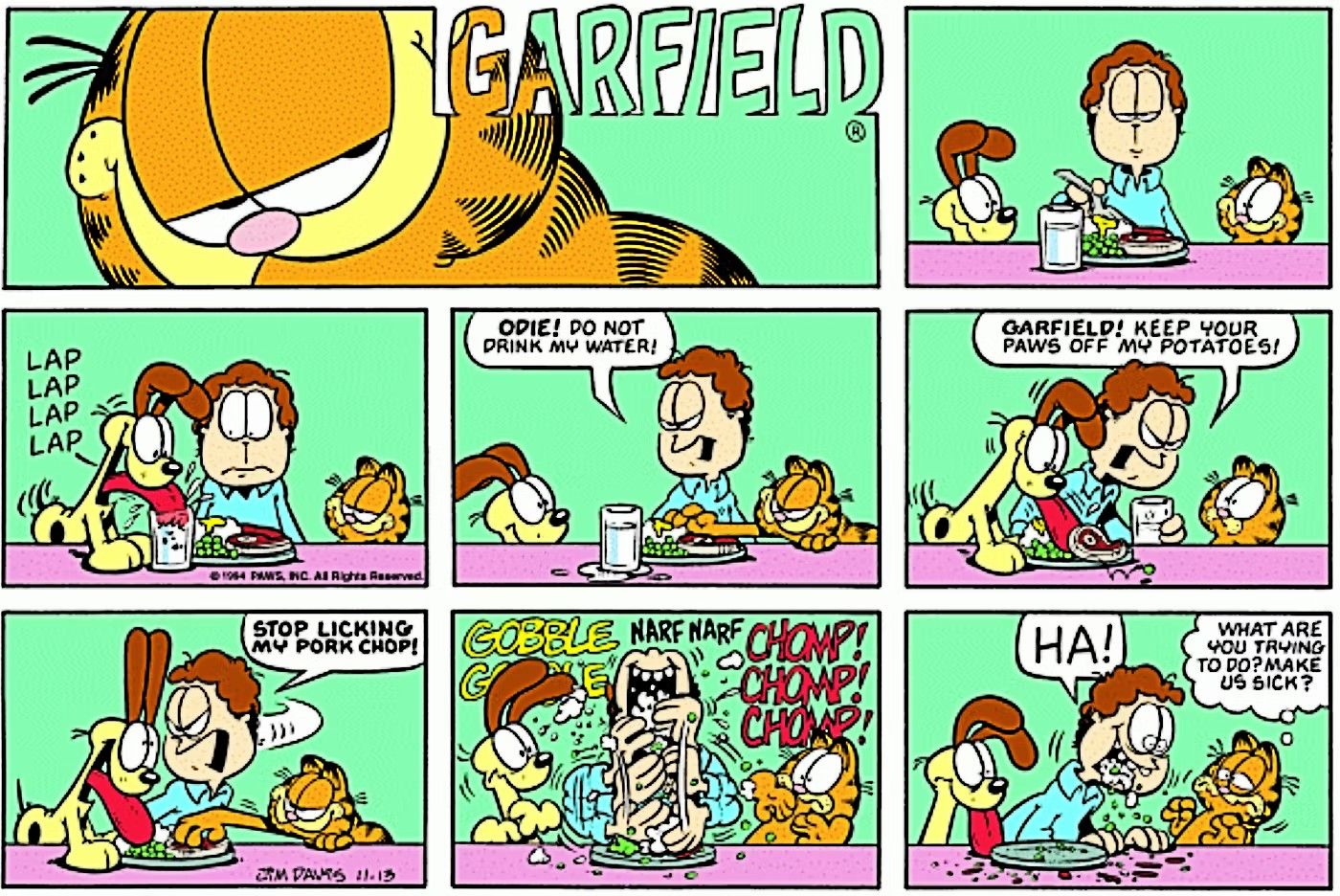 Jon Arbuckle stoops to his pets level to avoid giving them his human food