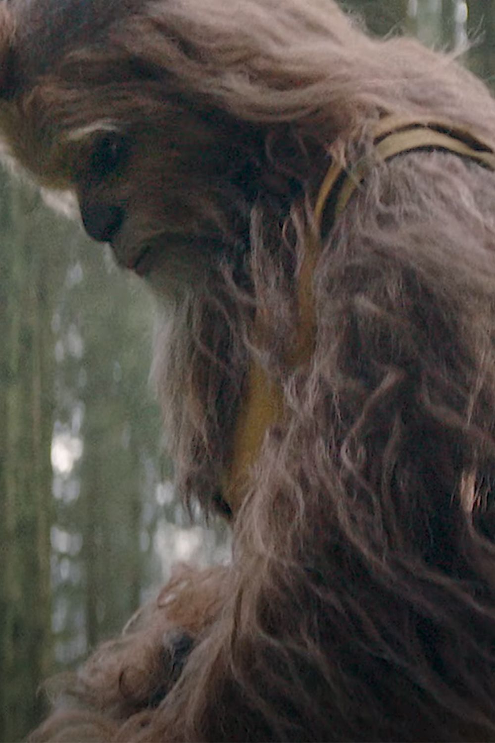 Joonas Suotamo is Kelnacca in Star Wars the Acolyte Standing in a forest