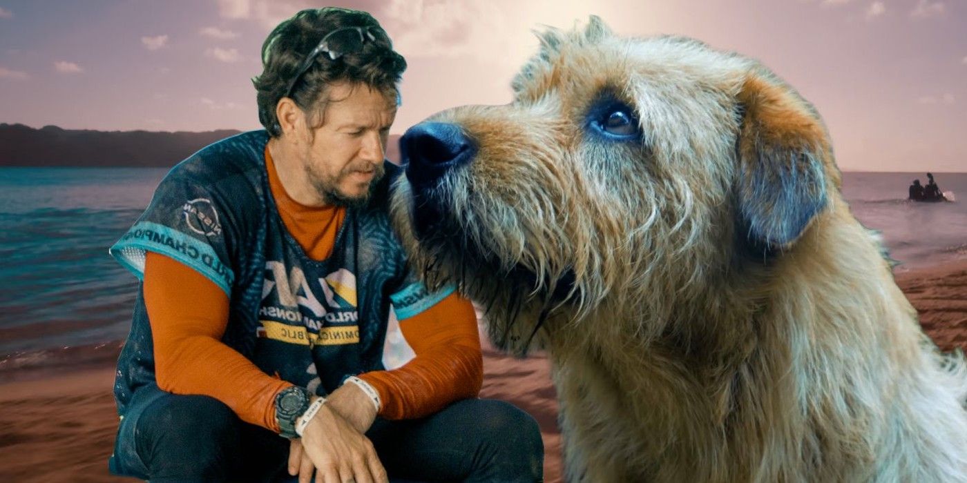 Mark Wahlberg in Arthur the King combined with a close-up of the dog