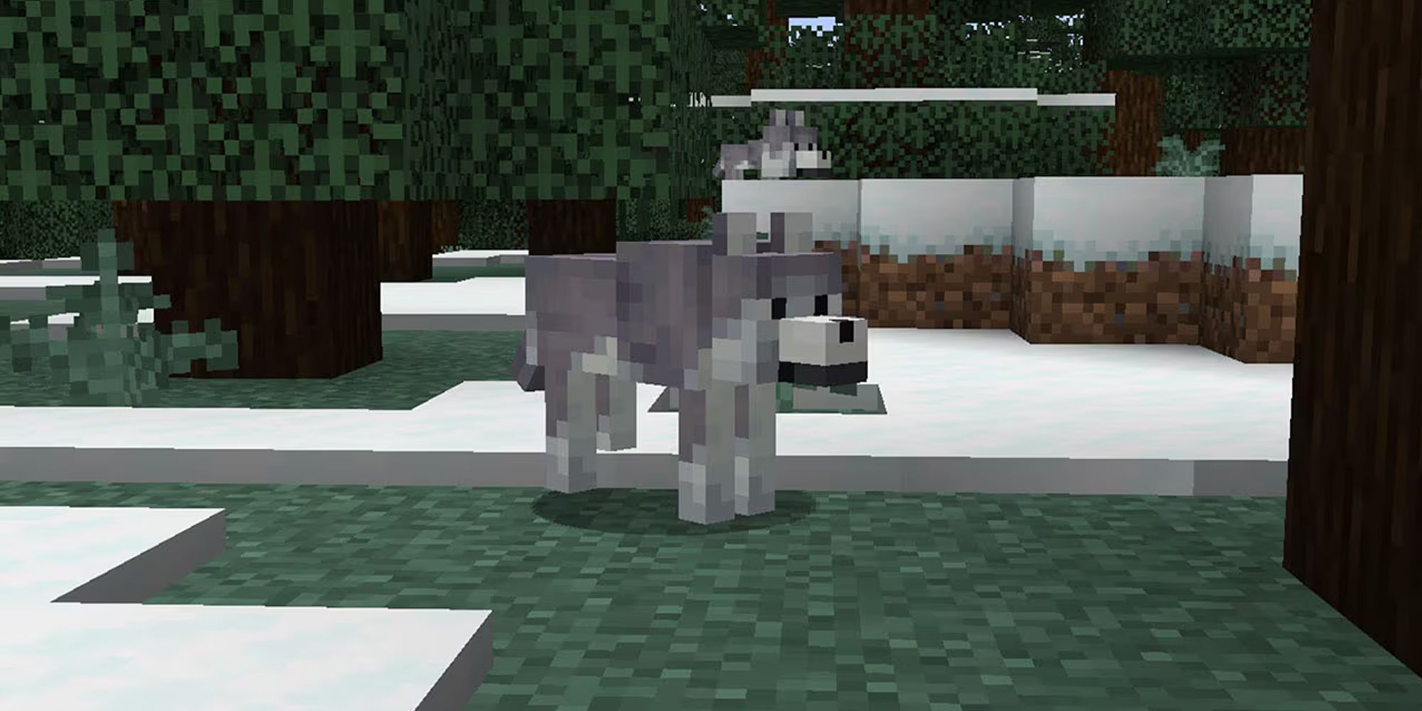 Minecraft: All Wolf Variants From Java & Bedrock Editions