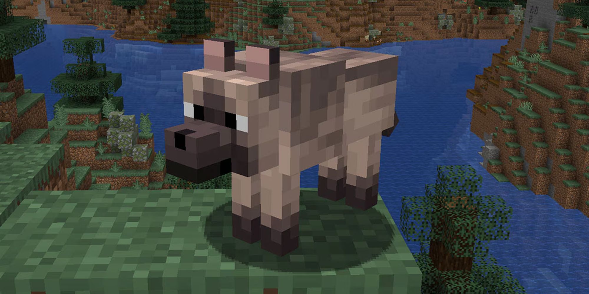 Minecraft: All Wolf Variants From Java & Bedrock Editions