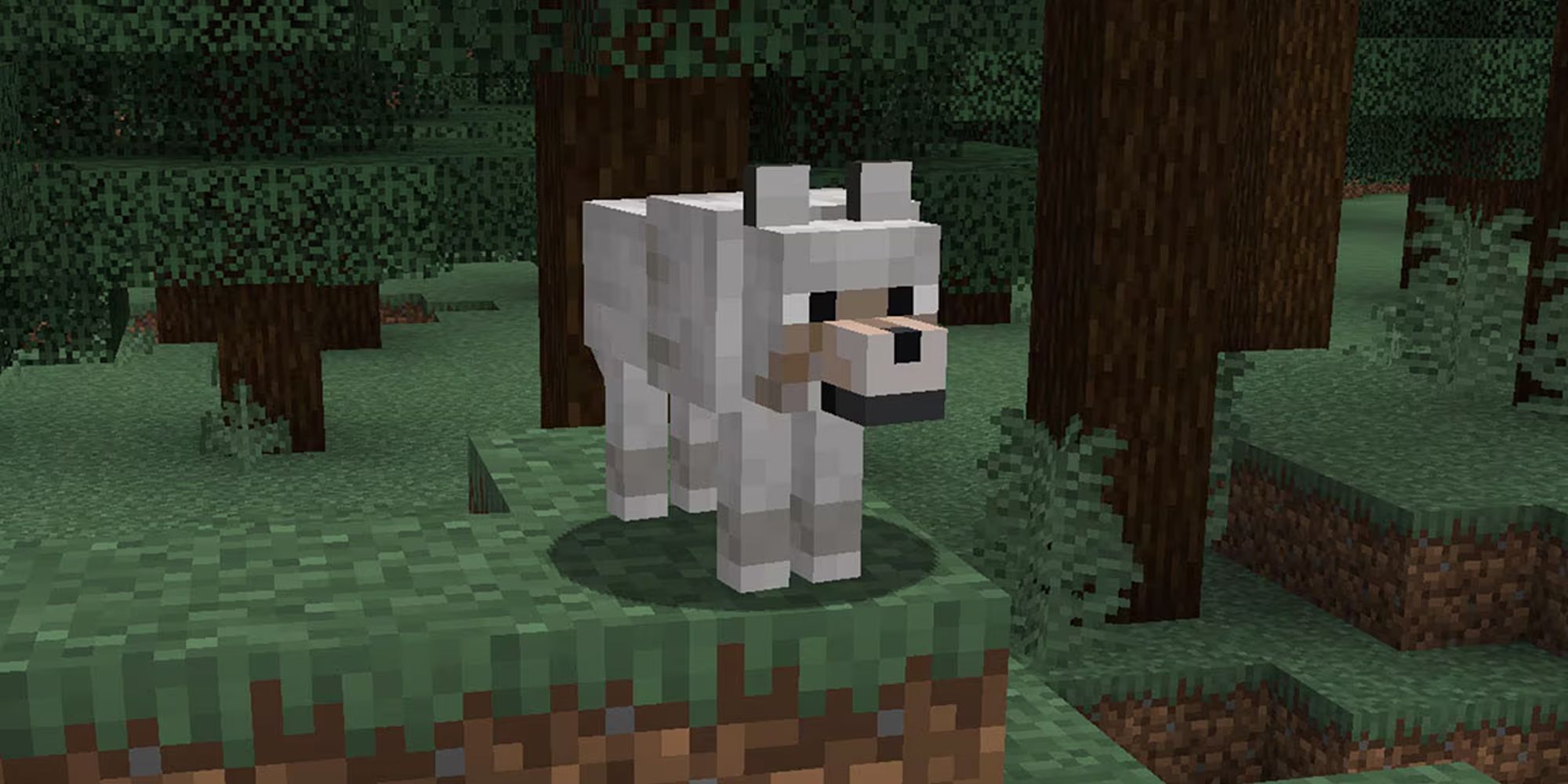 Minecraft: All Wolf Variants From Java & Bedrock Editions