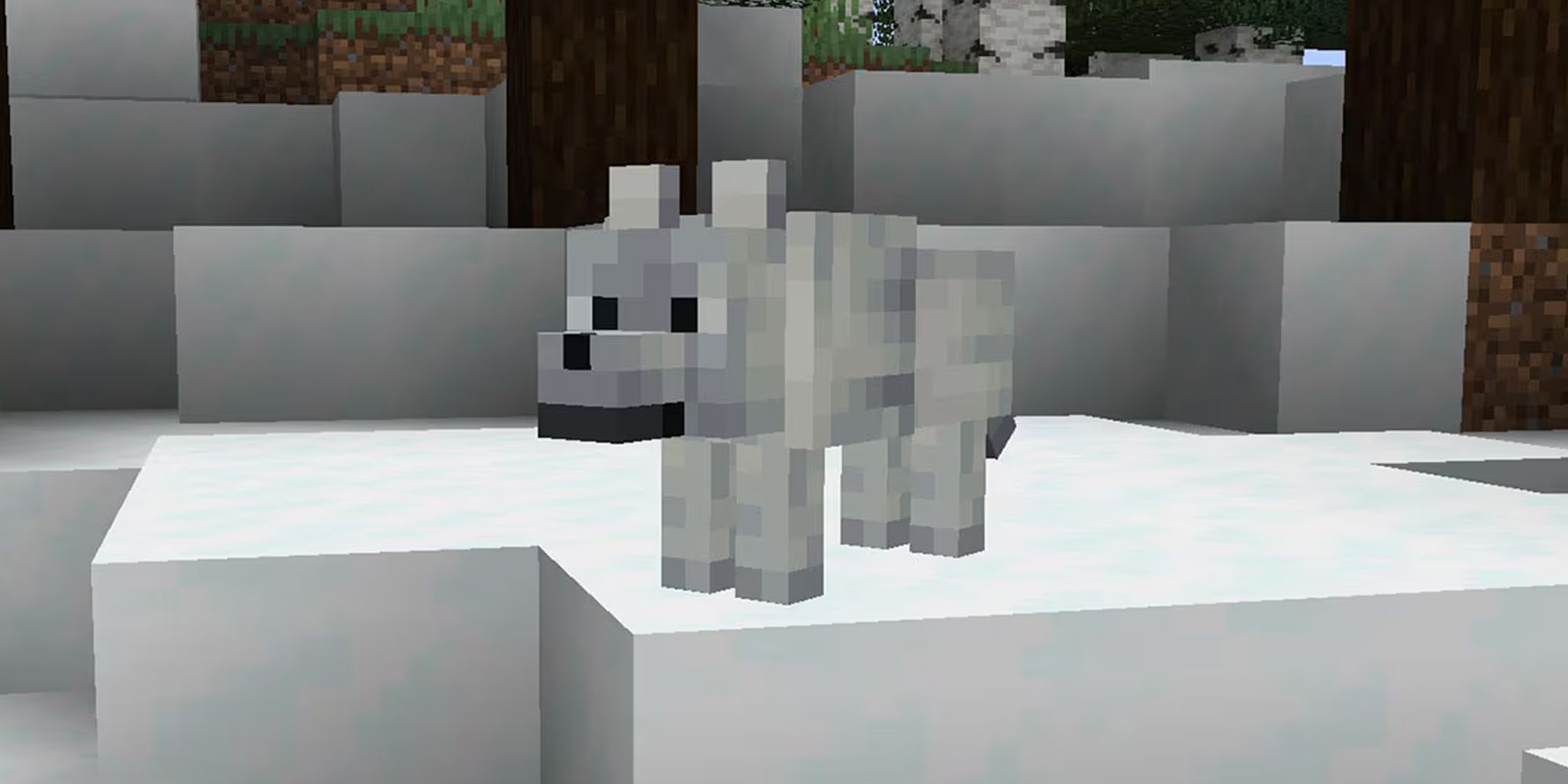 Minecraft: All Wolf Variants From Java & Bedrock Editions