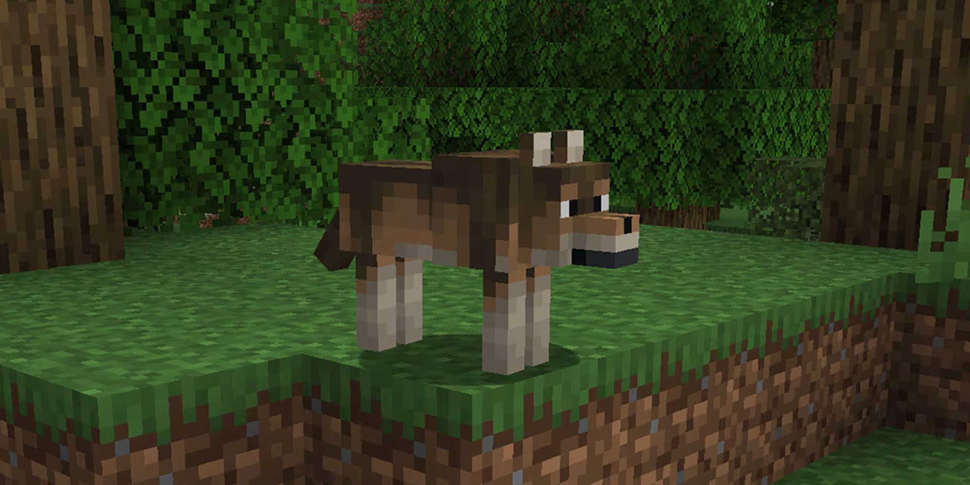 Minecraft: All Wolf Variants From Java & Bedrock Editions