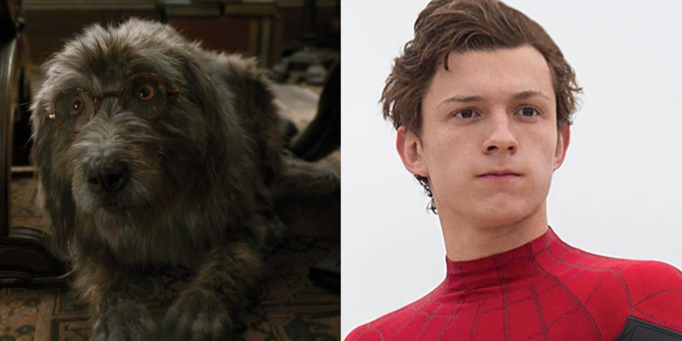 Split image of Jip in Dolittle and Tom Holland in Spider-Man Homecoming