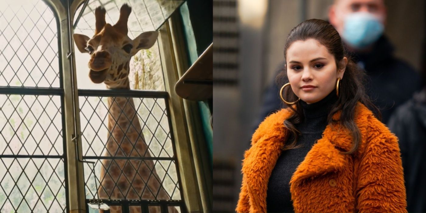 Split image of a giraffe in Dolittle and Selena Gomez in Only Murders in the Building