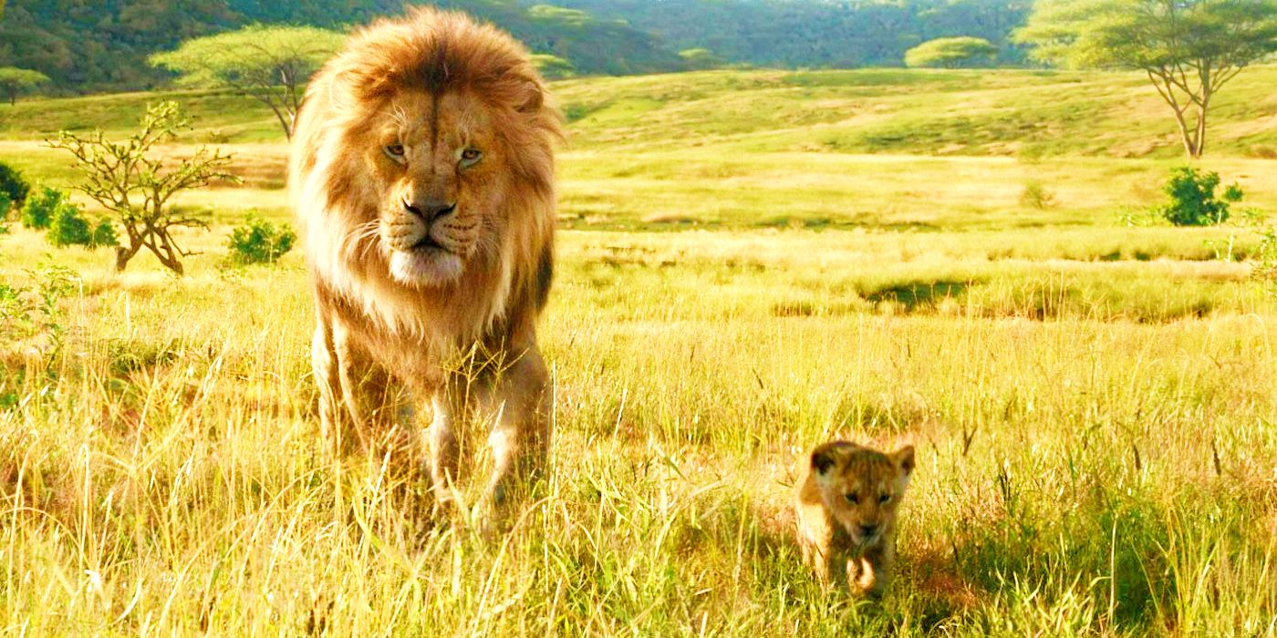 Mufasa caminhando com o bebê Simba no filme live action O Rei Leão