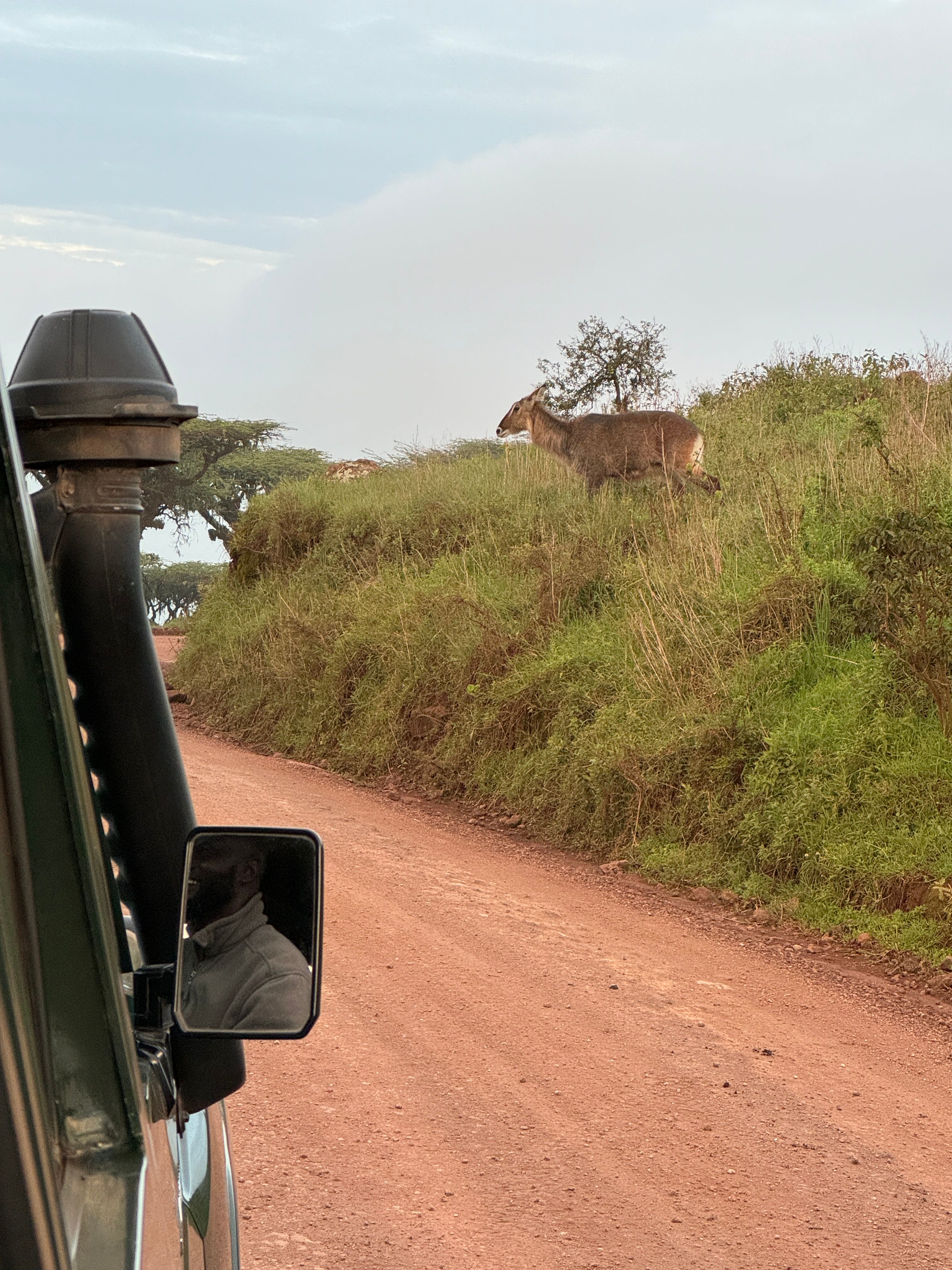 Nat Geo Tanzania Ngorongoro Crater Safari Jumper