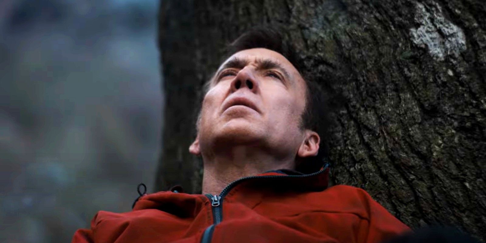Nicolas Cage lying on a tree while looking up at the sky in Arcadian trailer