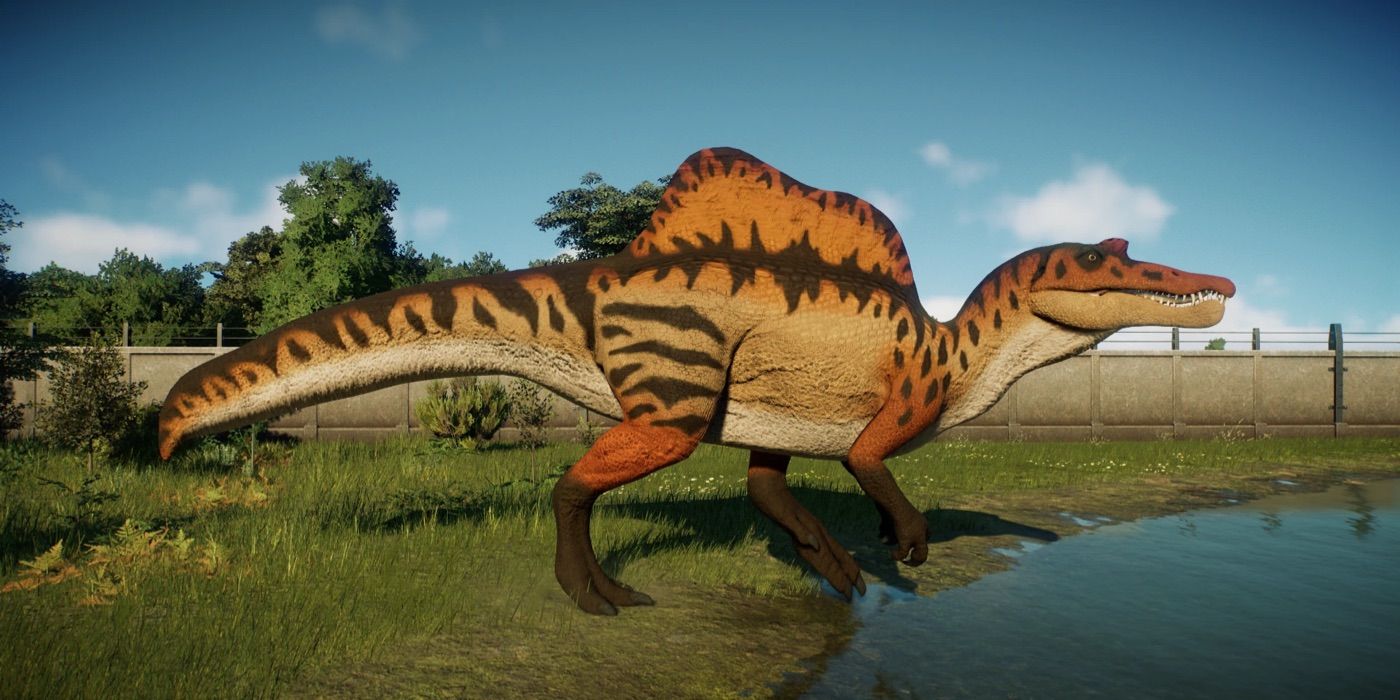 Oxalaia, a relative of Spinosaurus