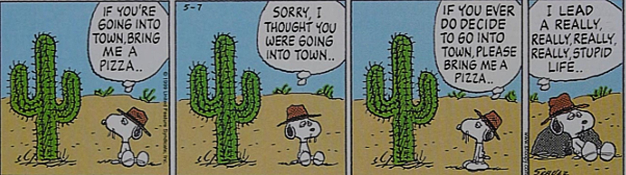 Peanuts, Snoopy's brother Spike reflecting on his 'really, really, really stupid' life