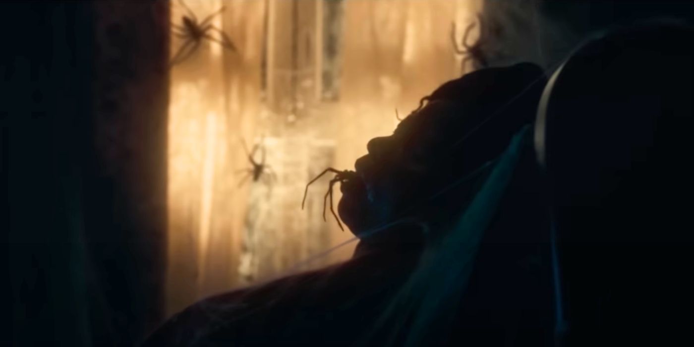 An unknown person is overcome by the poisonous spiders of the movie Infested