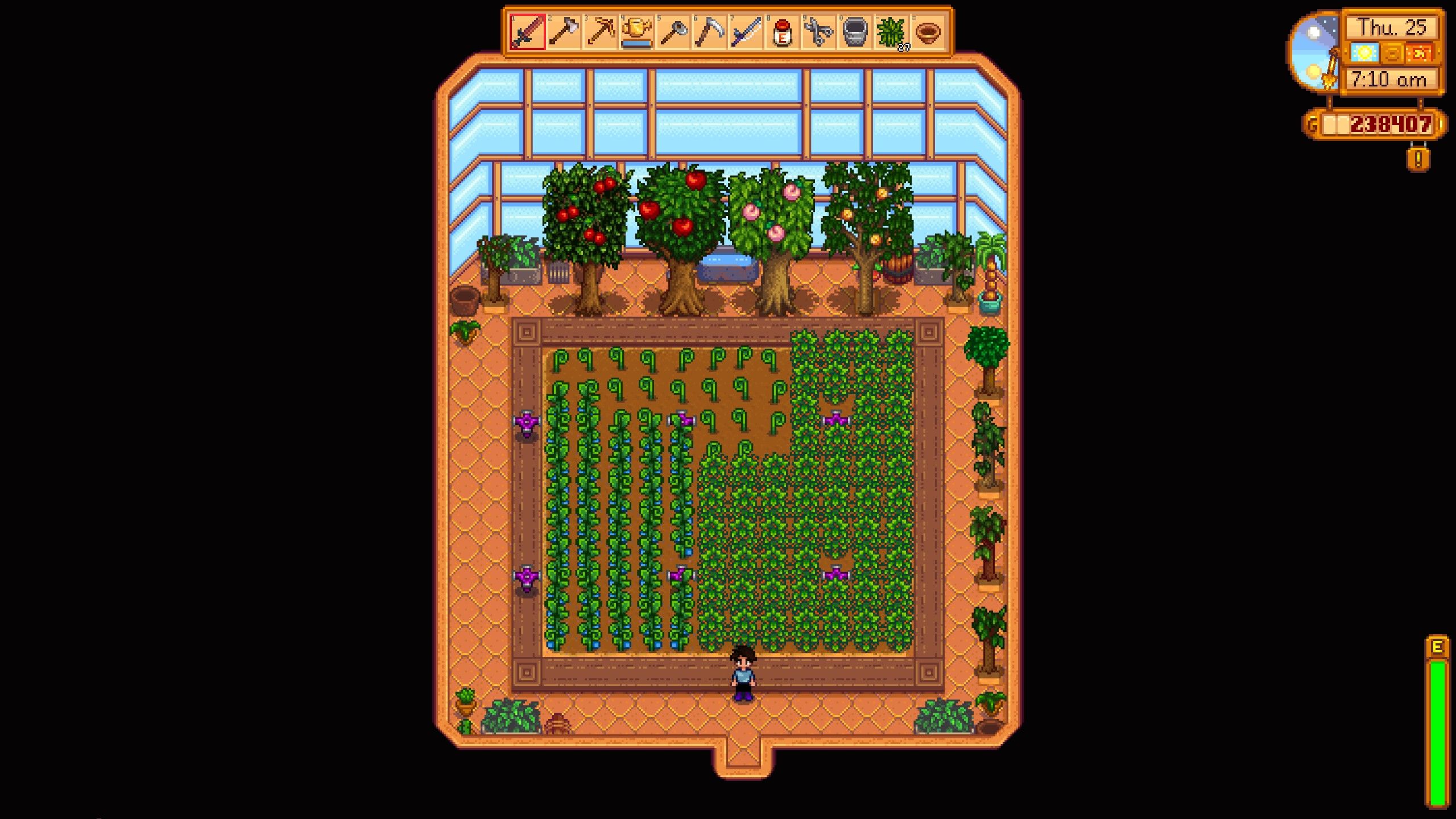 Stardew Valley Player Standing Inside Renovated Greenhouse With Ancient Fruit Plants, Coffee Plants And Fruit Trees