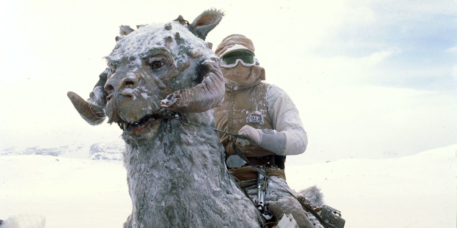 Luke Skywalker rides a tauntaun through the snow fields of Hoth in Star Wars: Episode V - The Empire Strikes Back