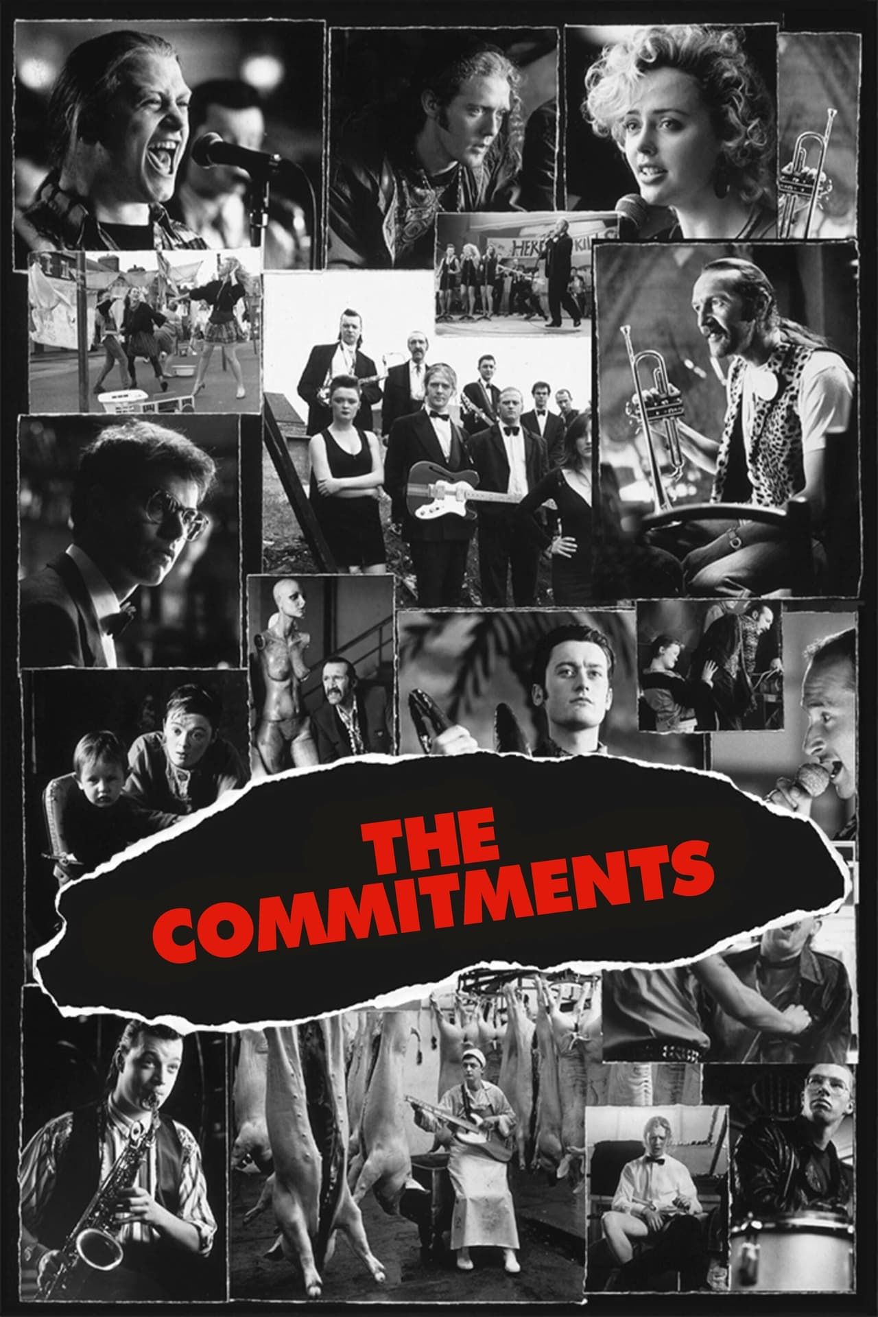 The commitments summary latest news trailer cast where to watch and