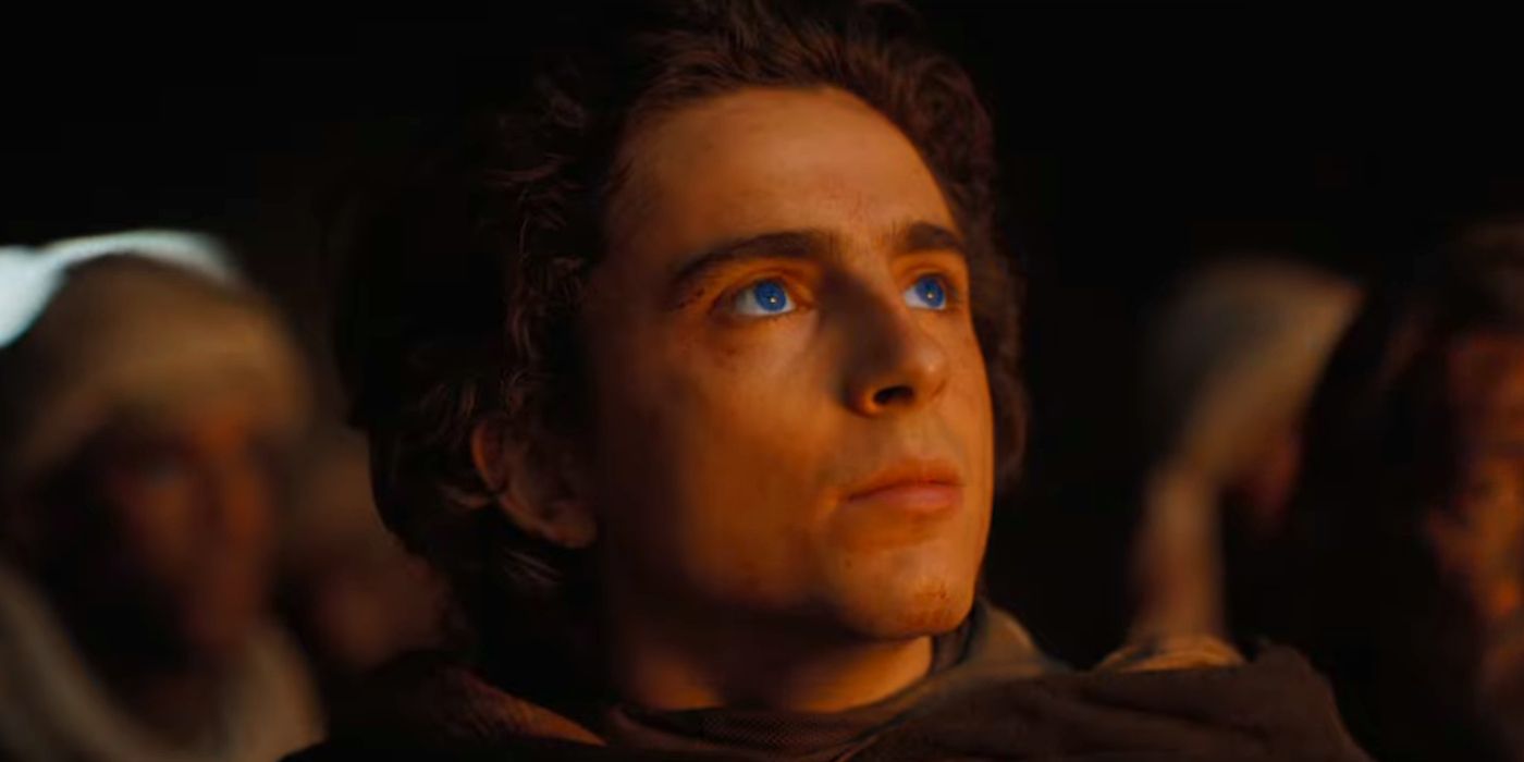 Timothee Chalamet as Paul Atreides Looking Up with Blue Eyes in Dune Part 2