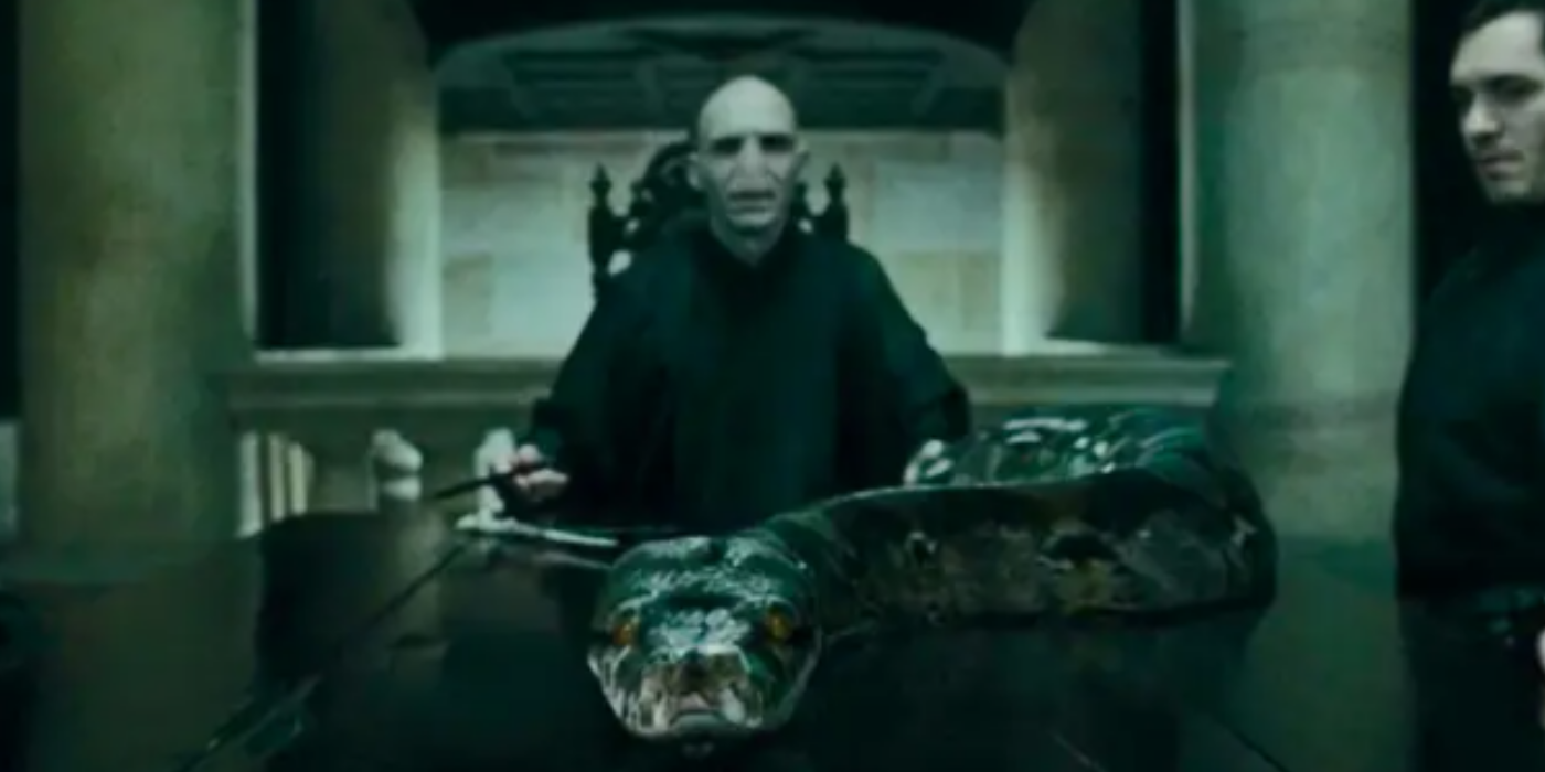 25 Things You Didnt Know About Tom Riddle (Before He Was Voldemort)