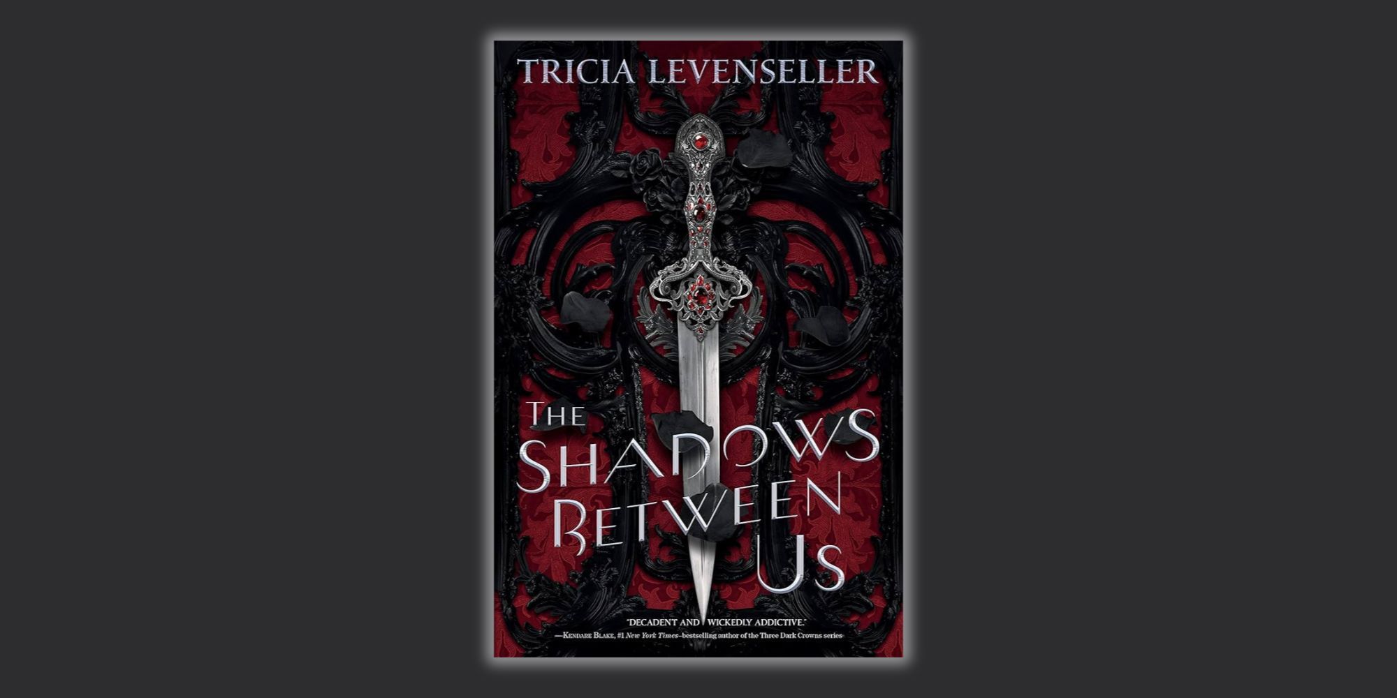 The Shadows Between Us book cover