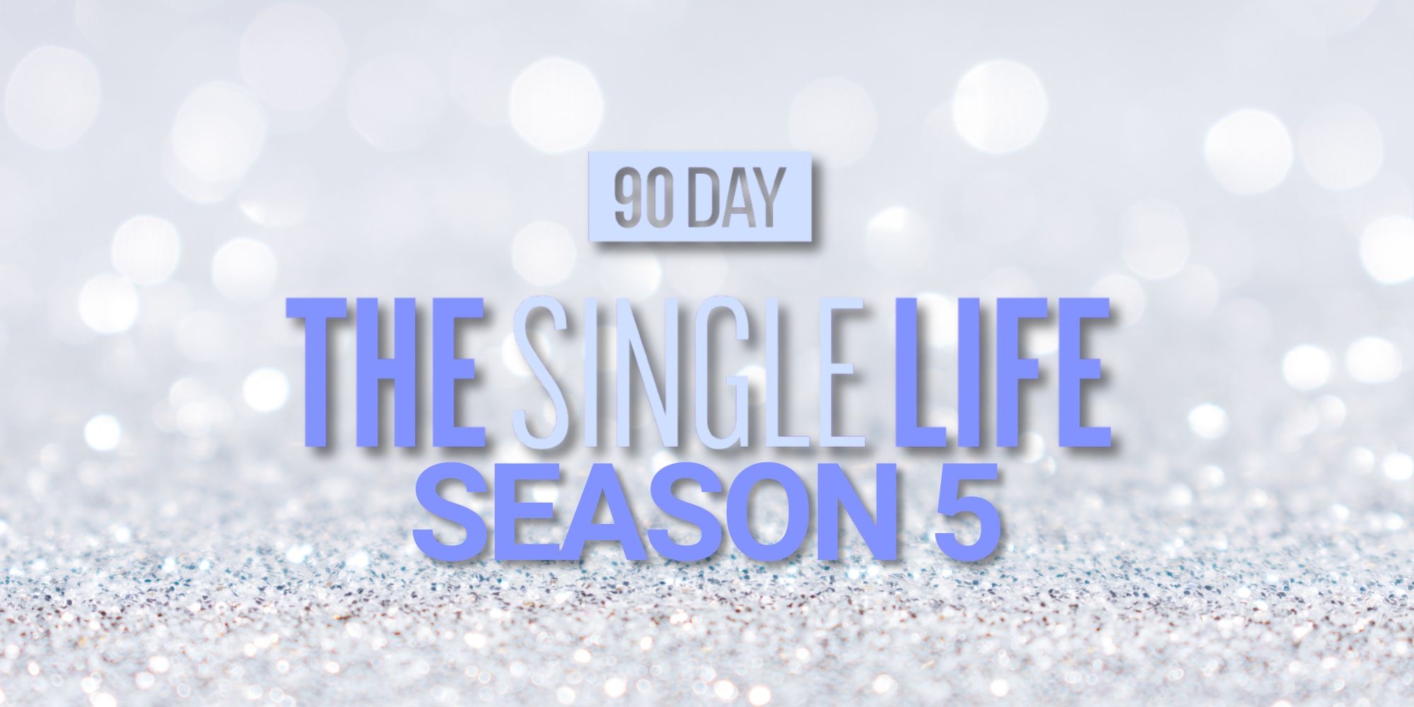 90 Day The Single Life Season 5 title card in silver and blue