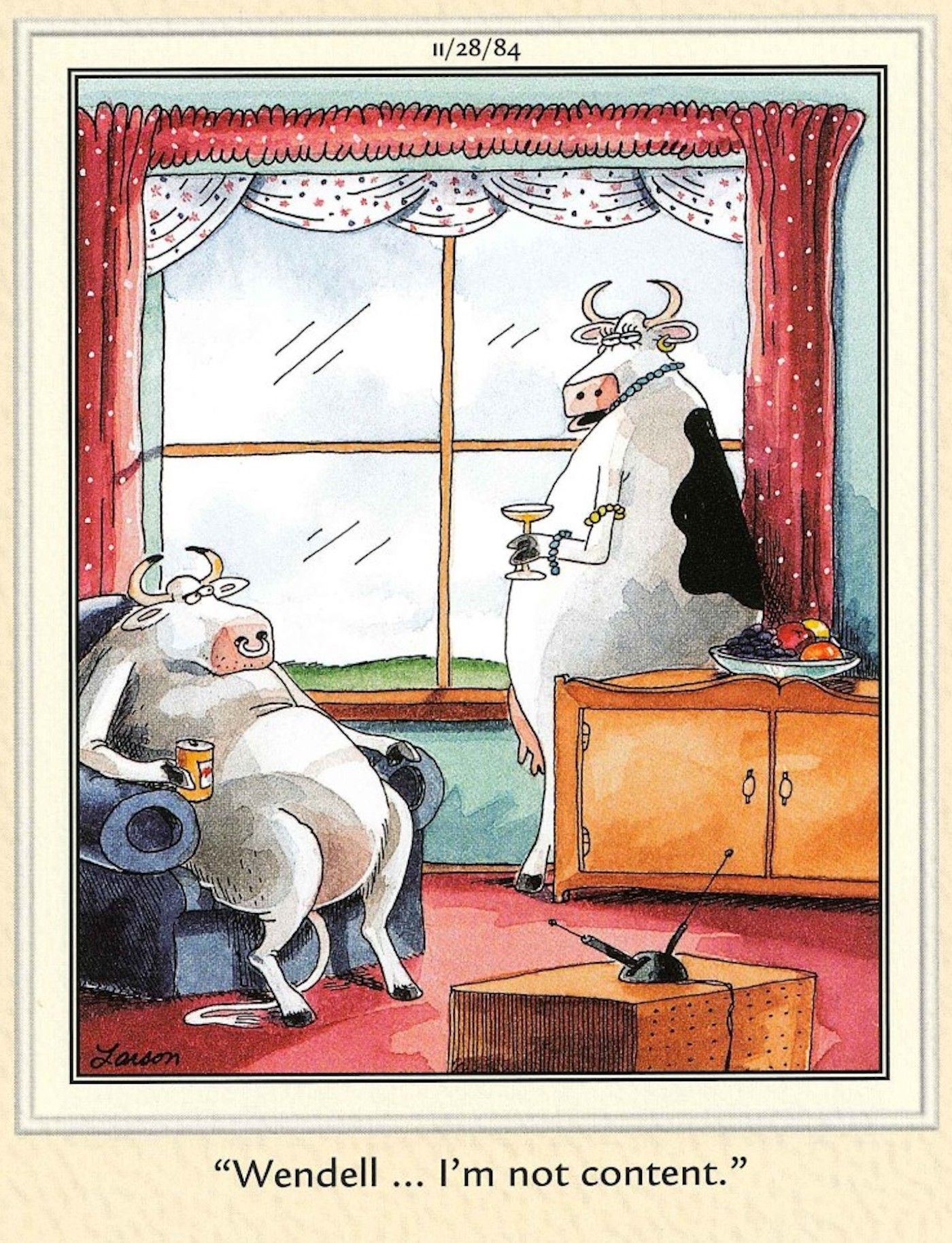 A cow in The Far Side says she's not content