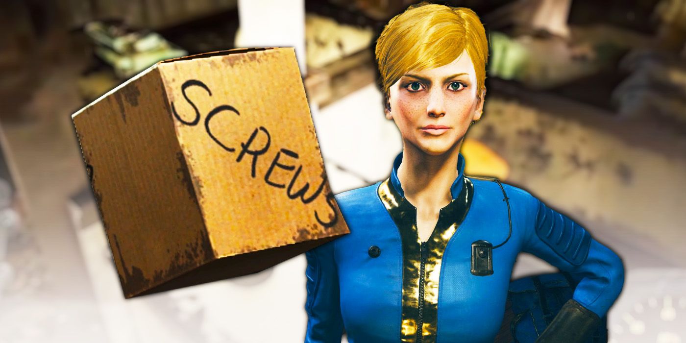 A custom character with Screws in  a box from Fallout 76.