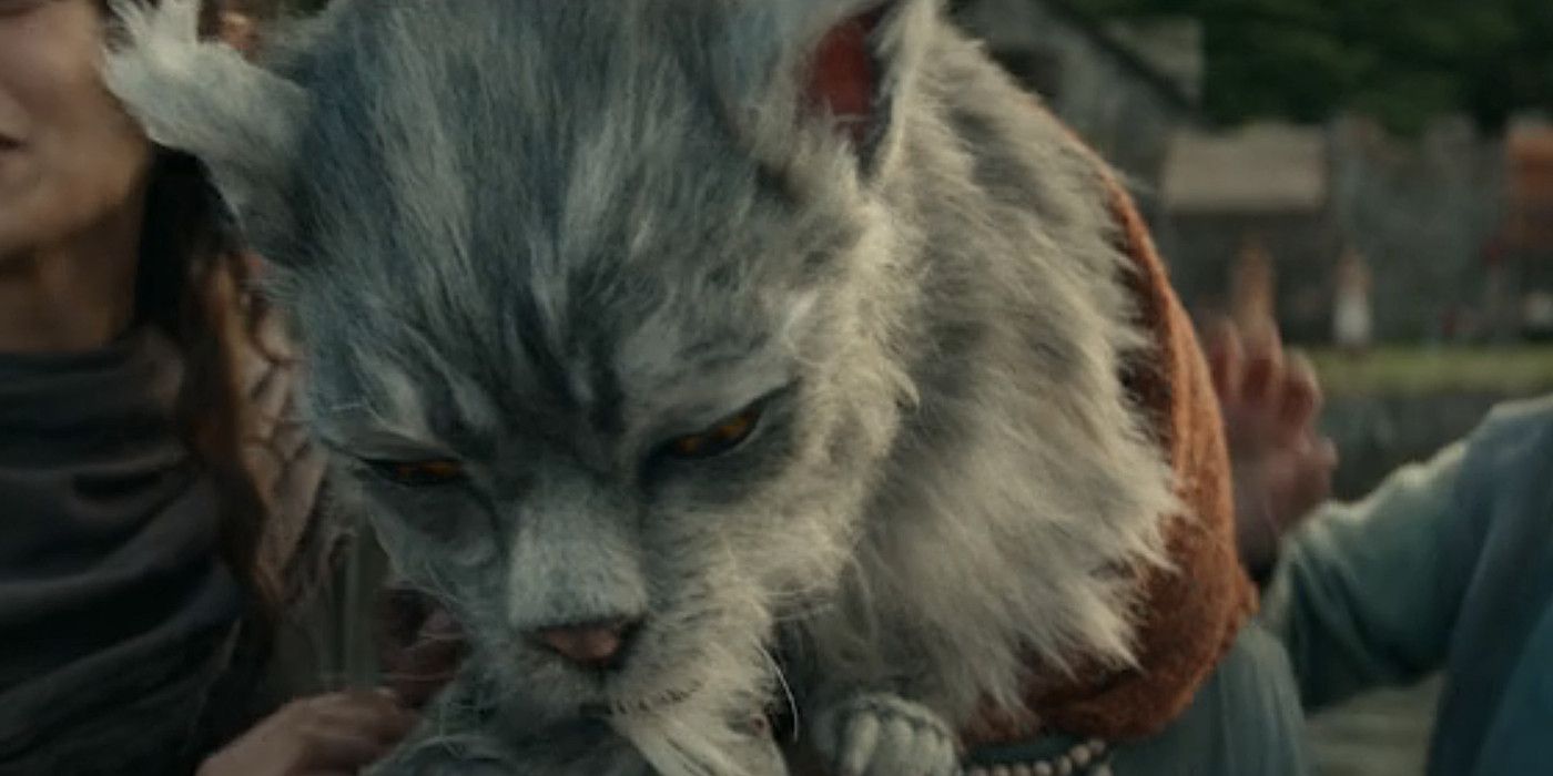 A gray. house cat-like tabaxi bent over in a screenshot from D&D Honor Among Thieves.