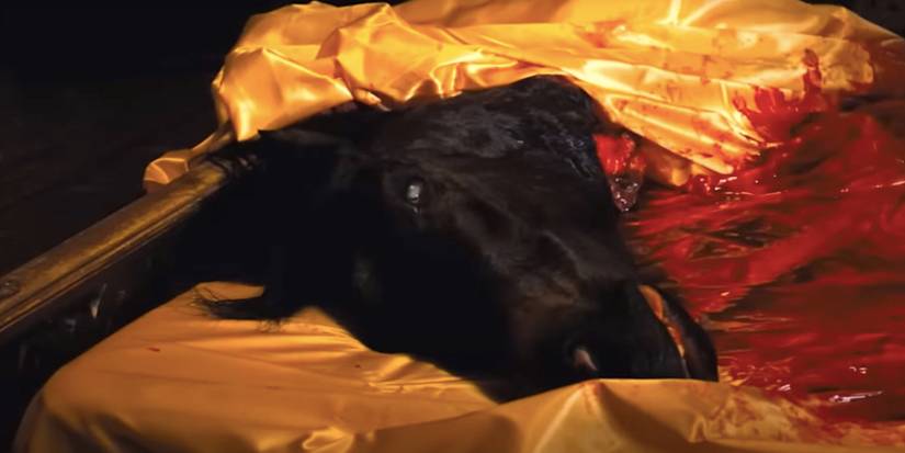 A real horse's severed head in The Godfather 1972