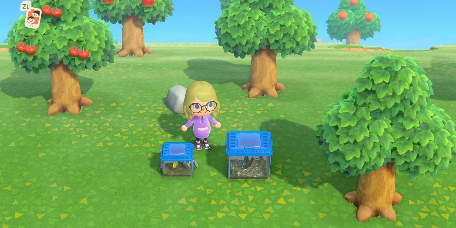 8 Harsh Lessons I Learned After Restarting My Animal Crossing Island