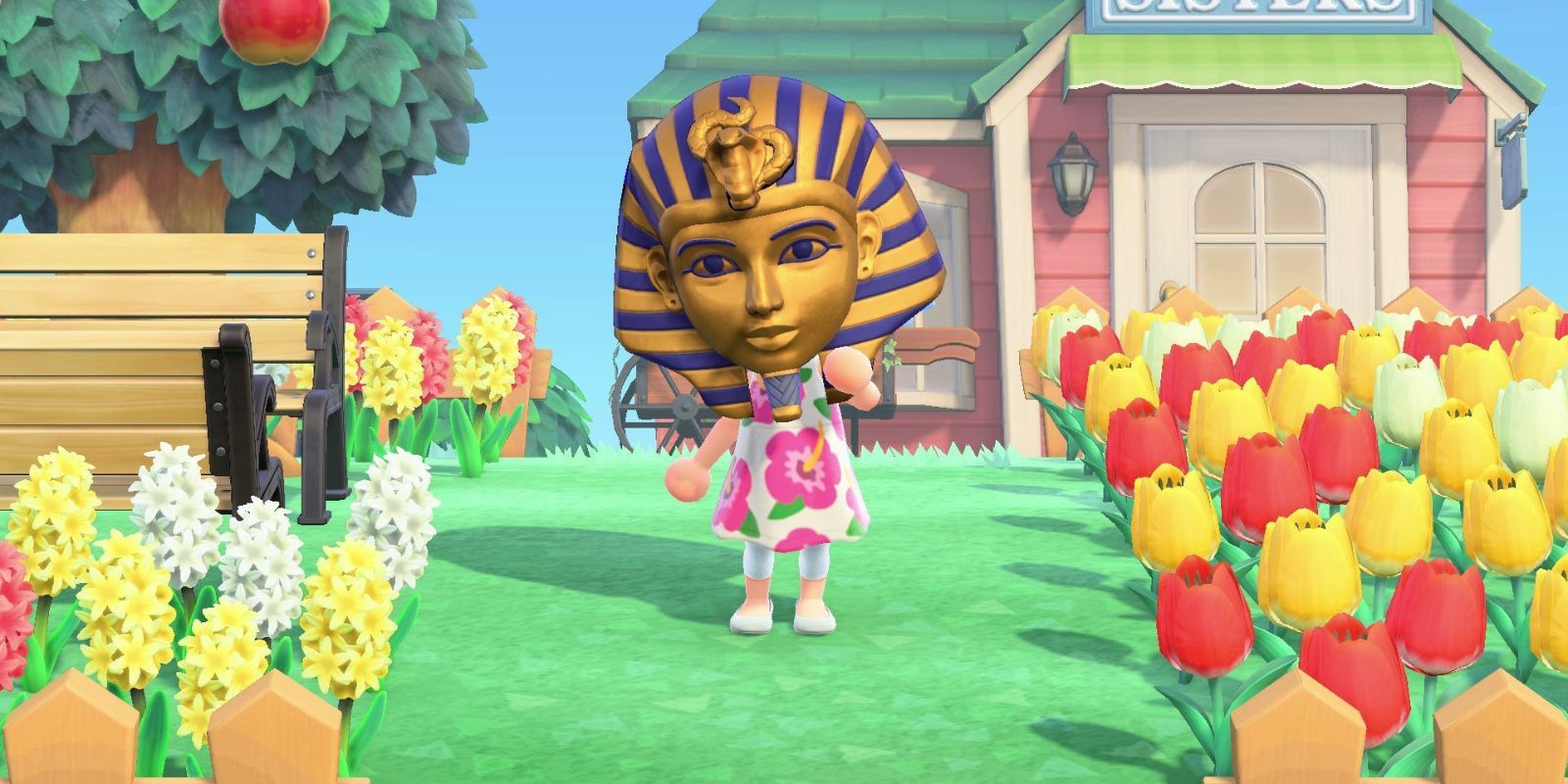 10 Animal Crossing Items You Still Didn't Know You Can Interact With