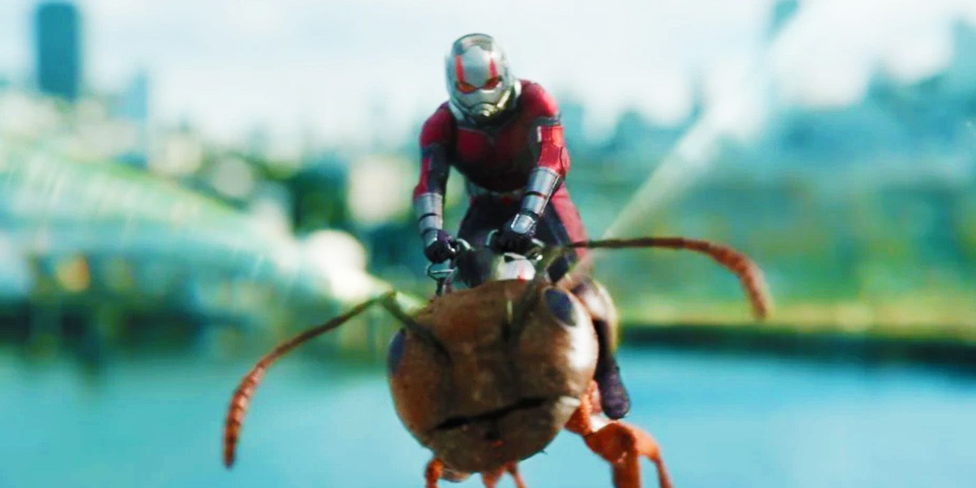 Homem-Formiga voando sobre uma formiga em Homem-Formiga e a Vespa