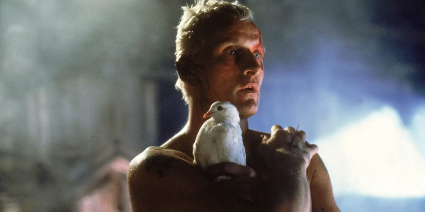 Wake Up, Time To Die!  The 20 Best Blade Runner Quotes