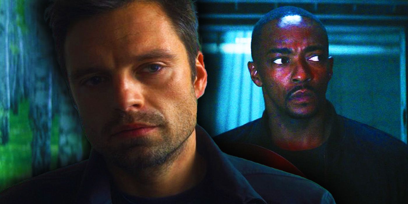 Bucky Barnes in The Falcon and the Winter Soldier and Sam Wilson in Captain America Brave New World