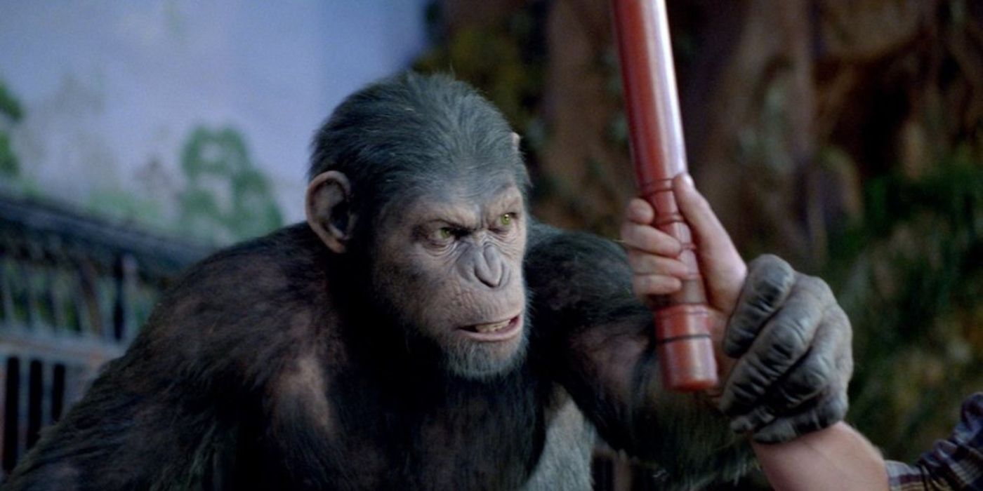Planet Of The Apes Recap: 7 Details & Characters To Remember Before Kingdom