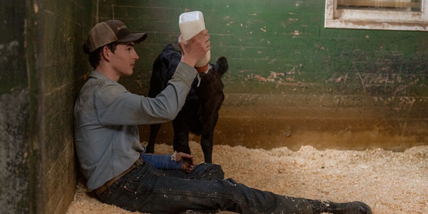 Carter (Finn Little) feeding a calf milk and sitting in a stable in Yellowstone.