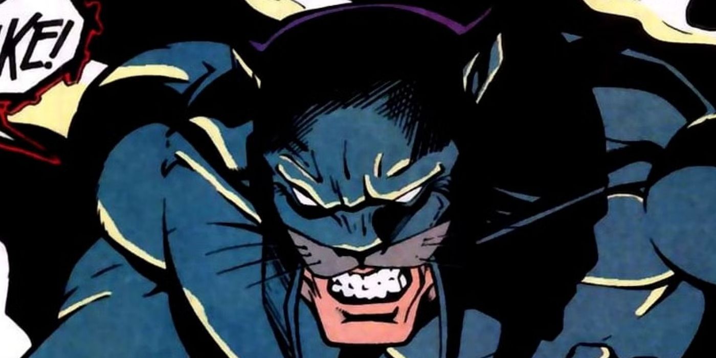 Close-up shot of DC's Wildcat