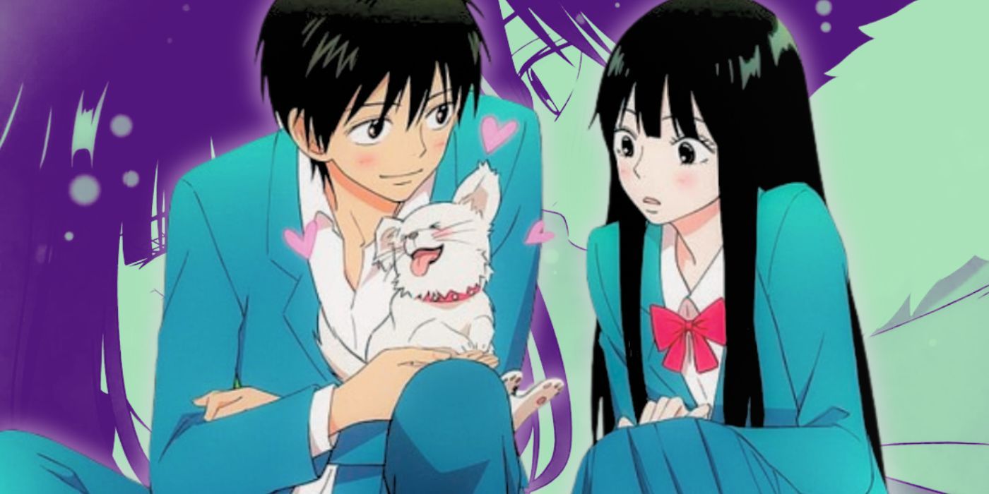 Collage-style image featuring official artwork from Kimi ni Todoke – From Me to You