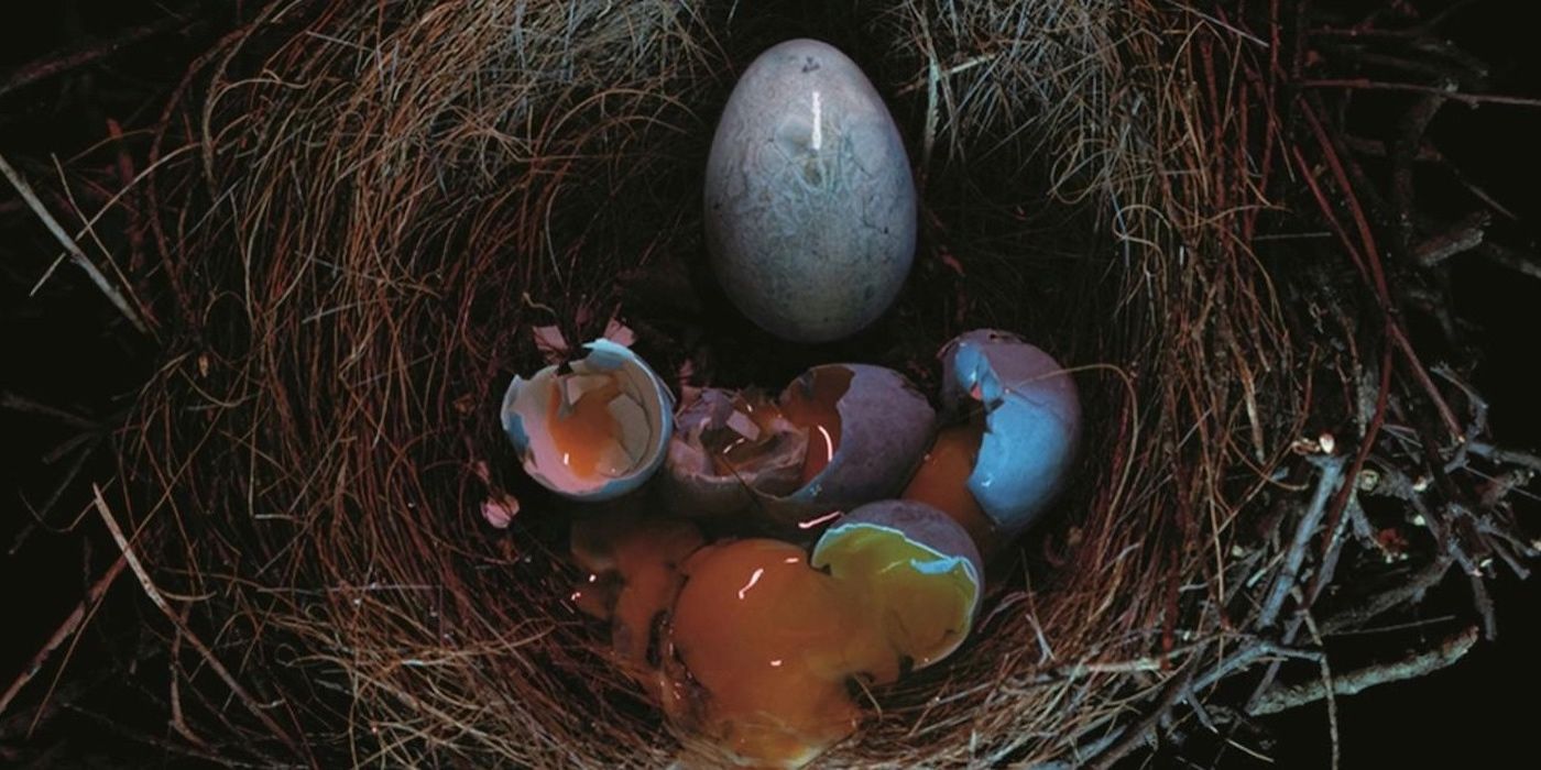 Capa de Cuco de Gretchen Felker-Martin.  Um ninho de pássaro contém vários ovos quebrados, sendo um intacto.