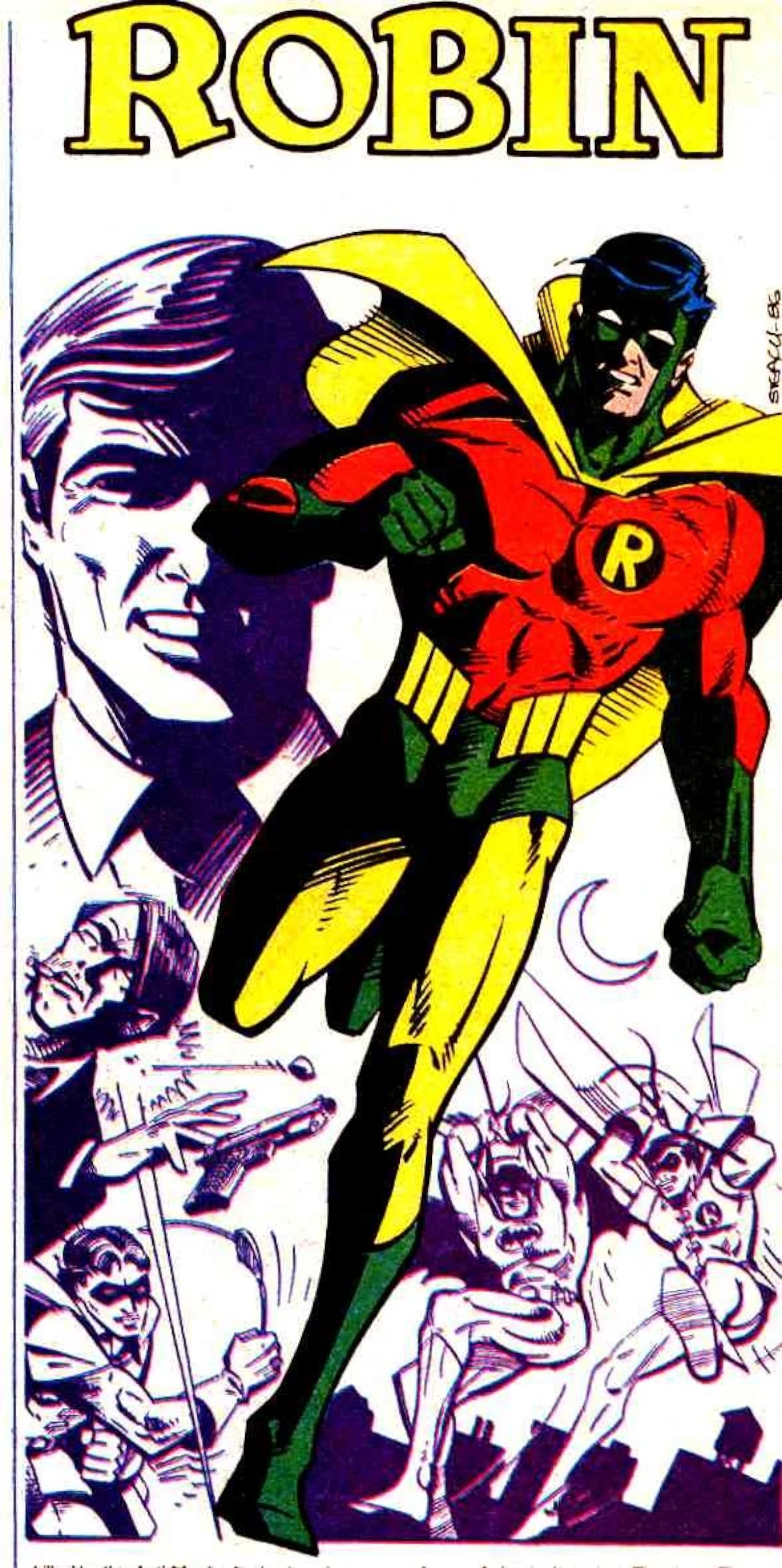 Terra 2 Dick Grayson Adulto Robin