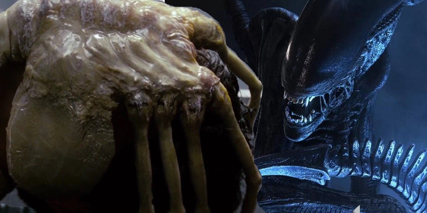 A Facehugger and Xenomorph from the Alien Franchise