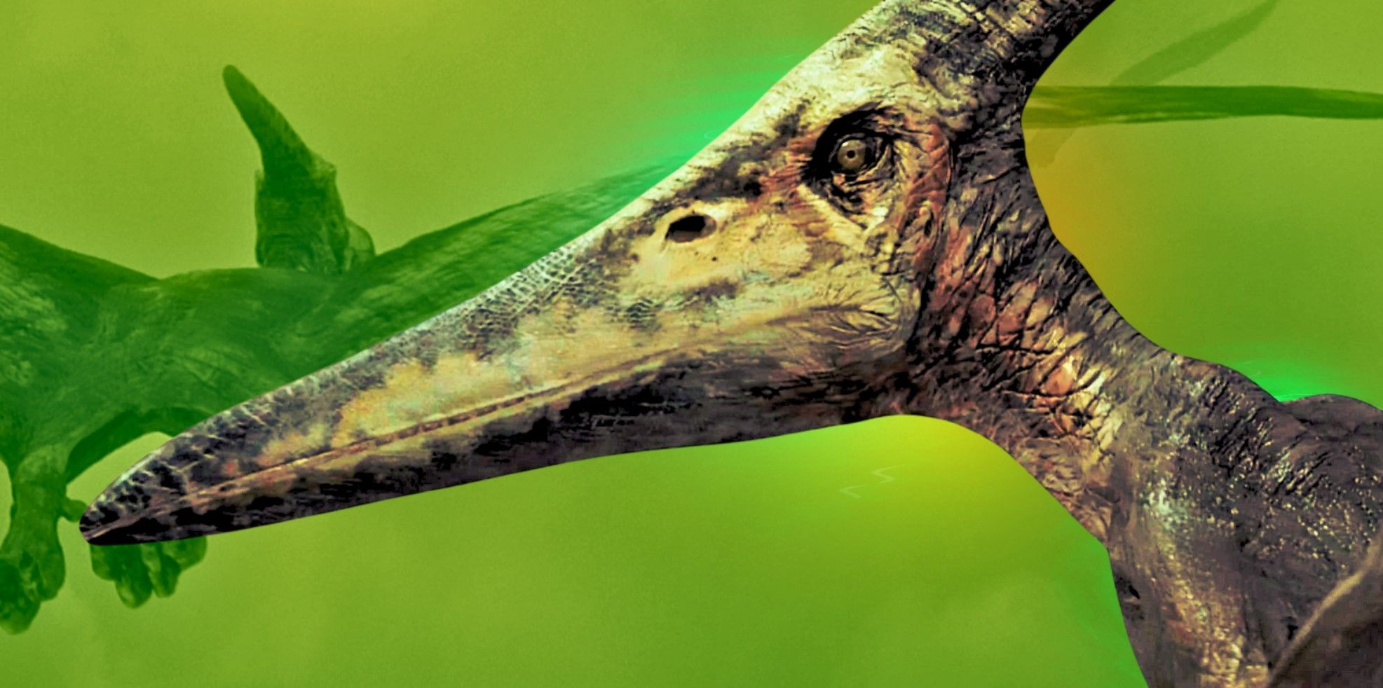 Fallen Kingdom Jurassic Park 3 pteranodons