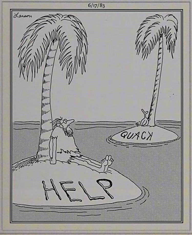 Far Side, man on desert island writes help in sand, duck on adjacent island writes quack