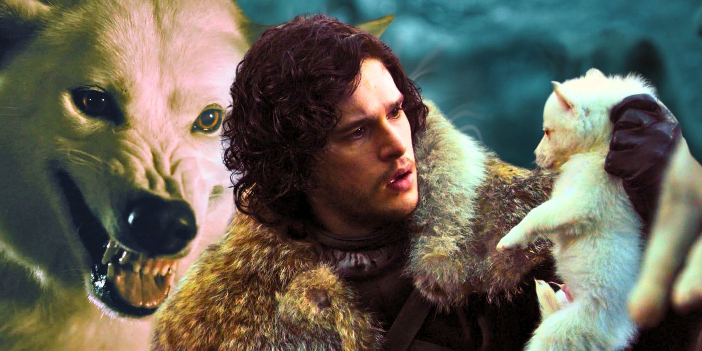 Jon Snow and Ghost from Game of Thrones