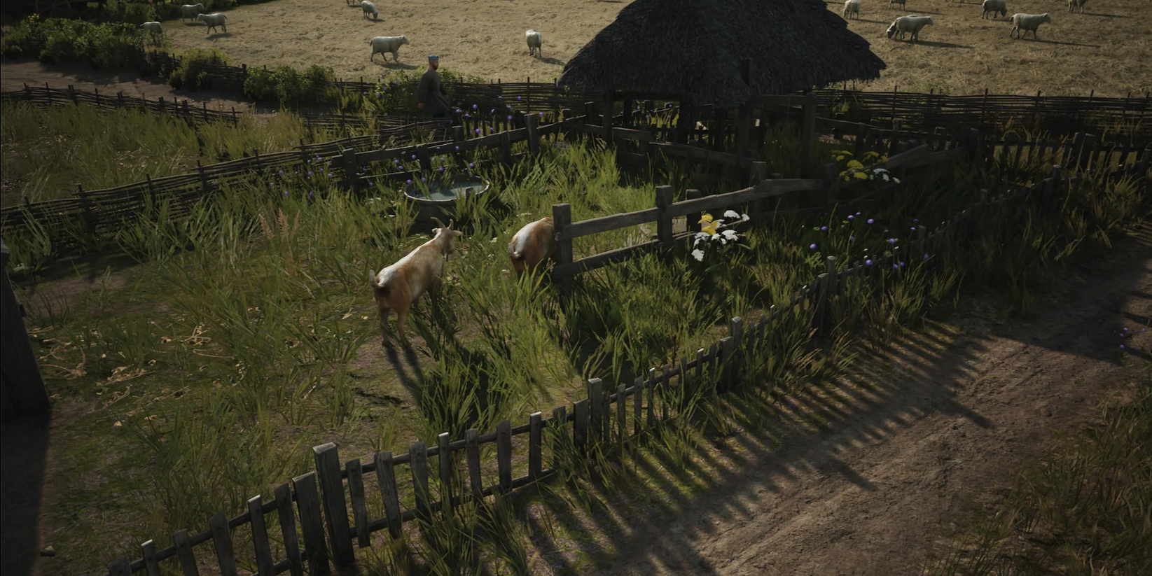 How To Get Livestock In Manor Lords (Sheep, Chickens & Horses)