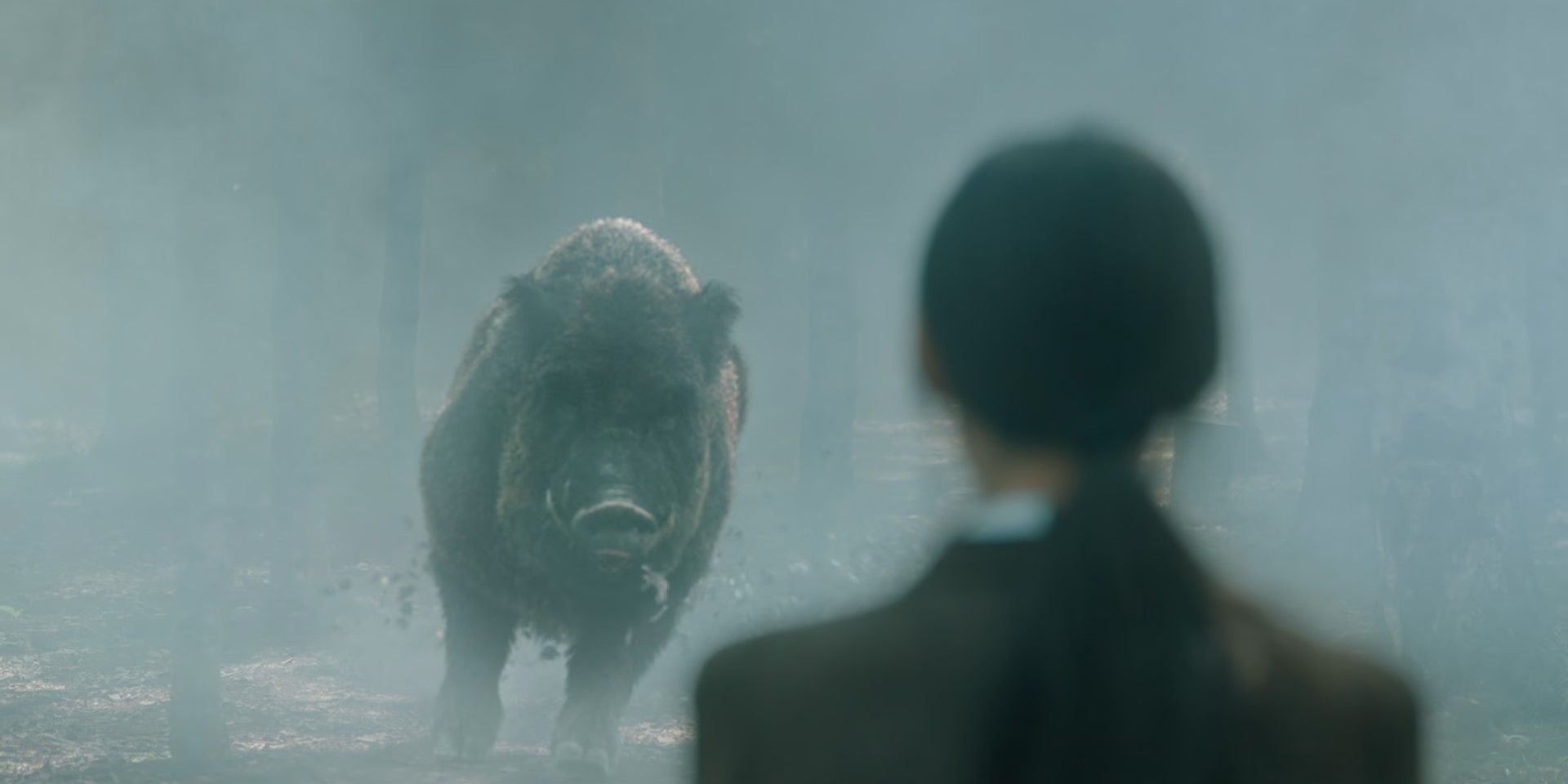 A boar charges at Haein in Queen of Tears