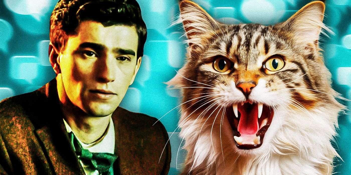 Why Cats Can Talk In Dead Boy Detectives Season 1