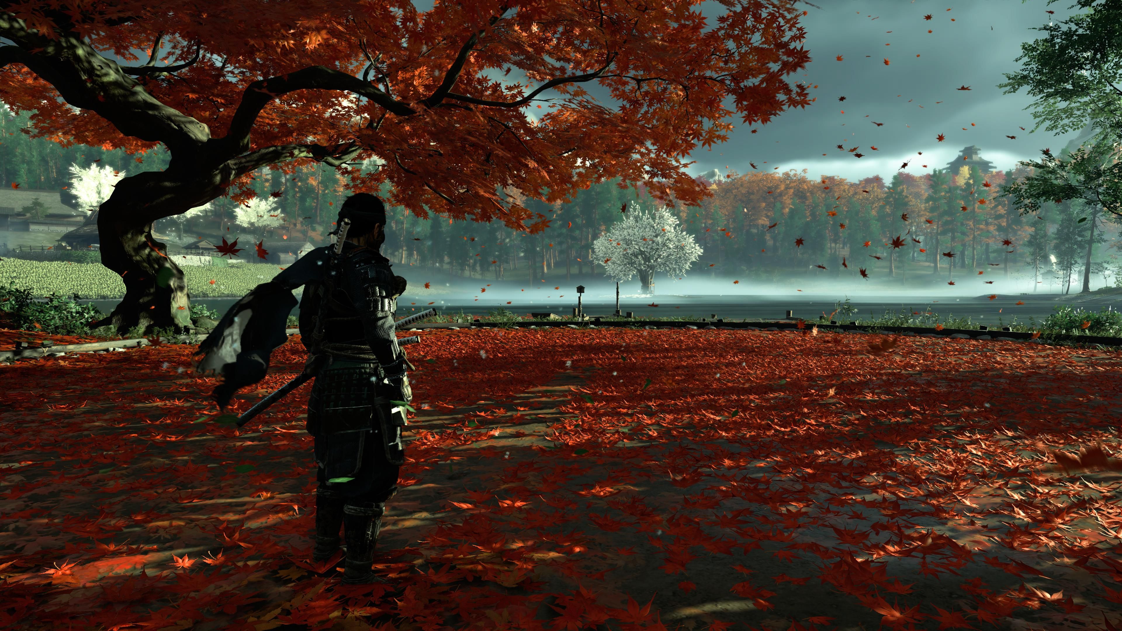 Jin parado em um campo de treino cheio de folhas de bordo vermelho na margem do lago em Ghost Of Tsushima