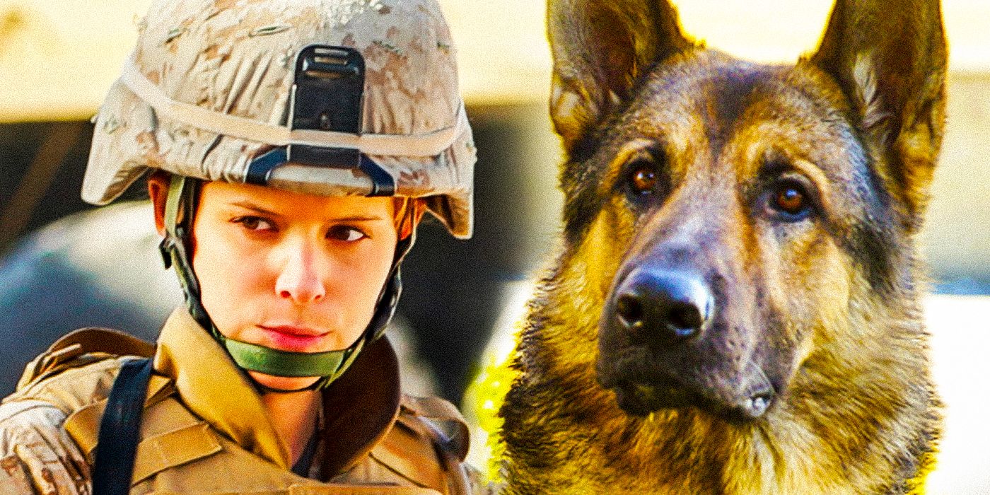 Kate Mara as Megan Leavey with Rex the dog from Megan Leavey movie